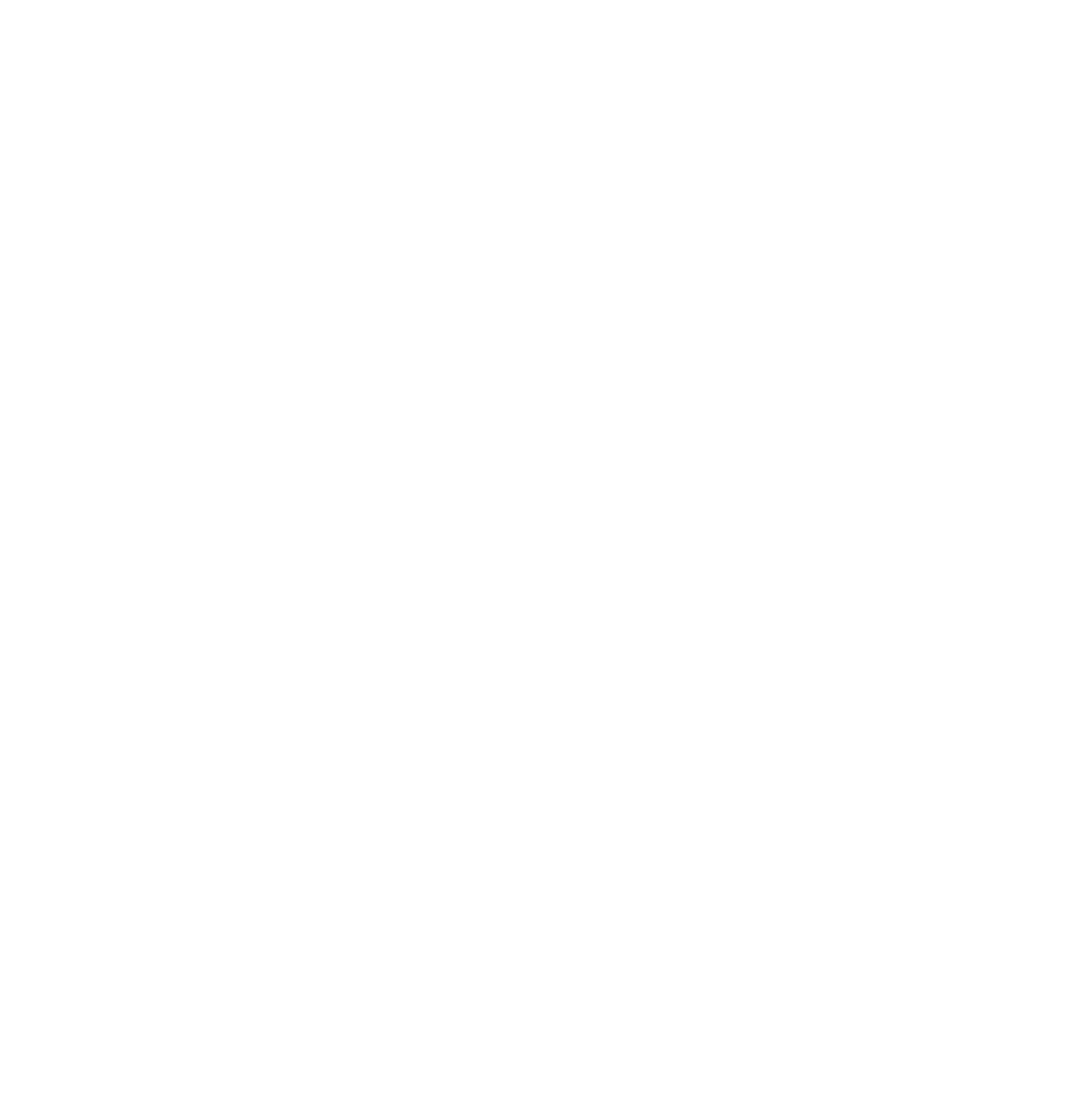 Nhoenix